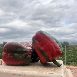 Pimentón Rojo (600gr)