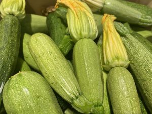 Carbassó llarg (600gr)