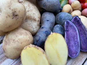 Cesta 5 kg de patatas de montaña con 3 variedades recogidas a mano